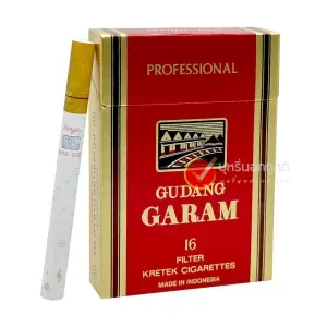 บุหรี่นอก กาแรม 16 บุหรี่นอก GARAM กาแรม Professional 16
